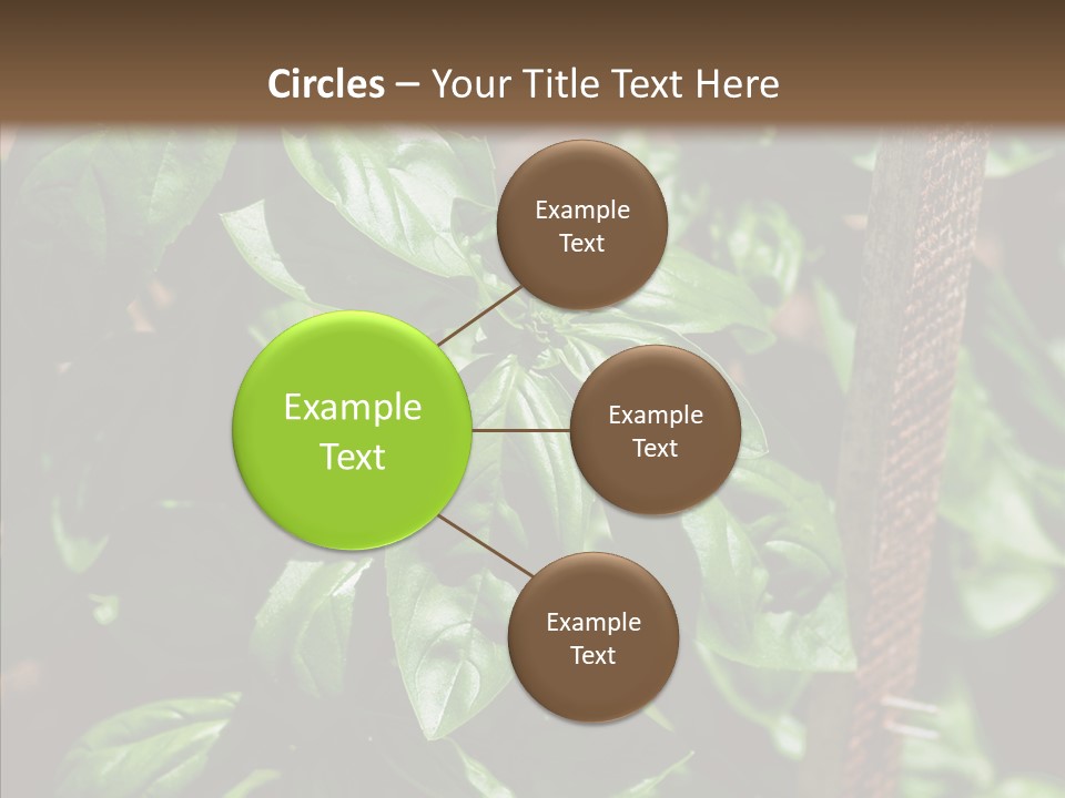 Summer Garden Eat PowerPoint Template