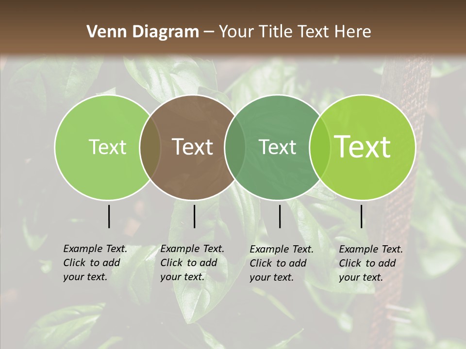 Summer Garden Eat PowerPoint Template