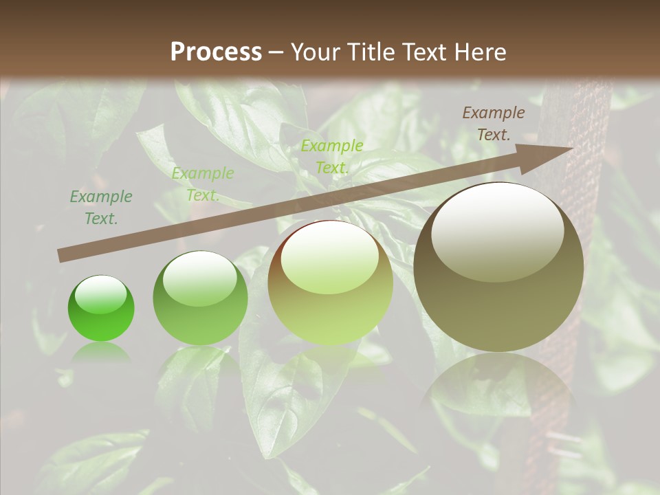 Summer Garden Eat PowerPoint Template