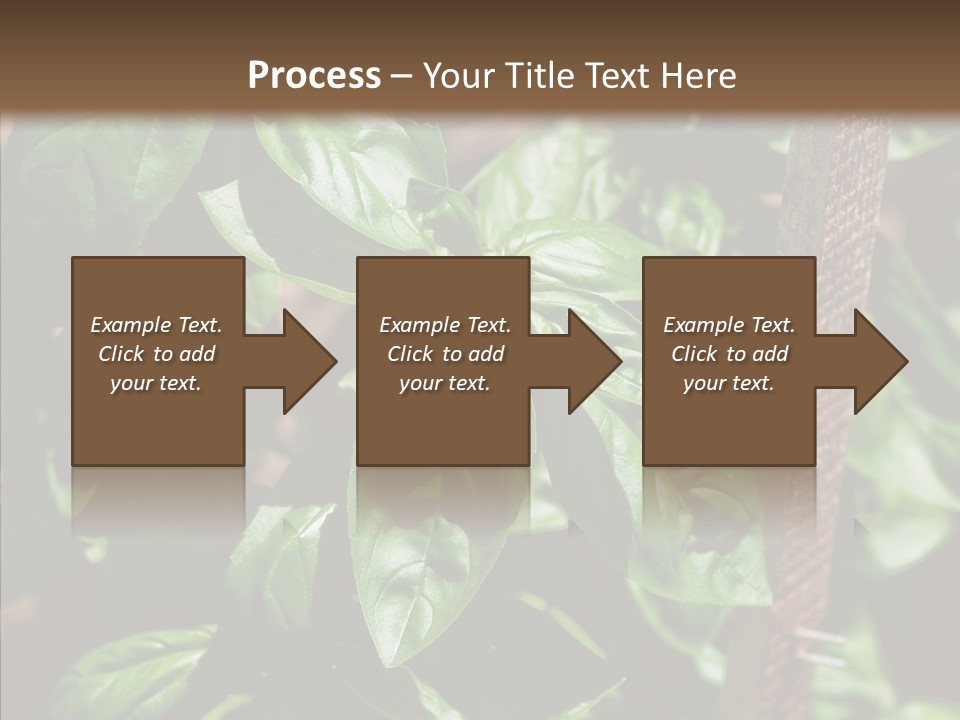 Summer Garden Eat PowerPoint Template