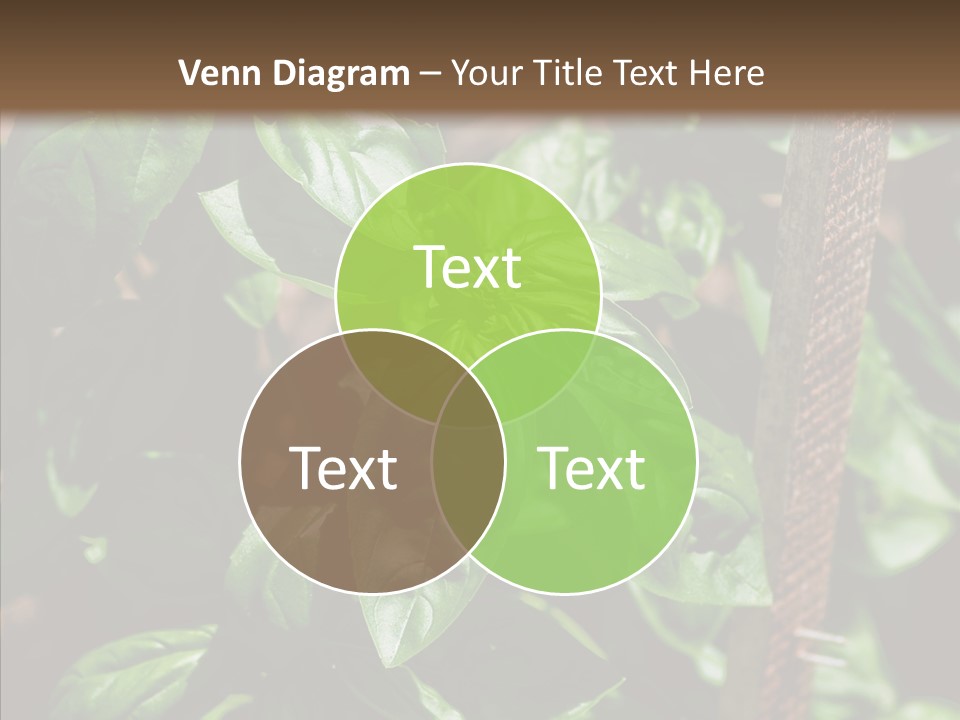 Summer Garden Eat PowerPoint Template