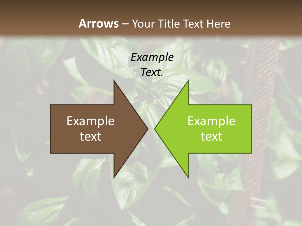 Summer Garden Eat PowerPoint Template