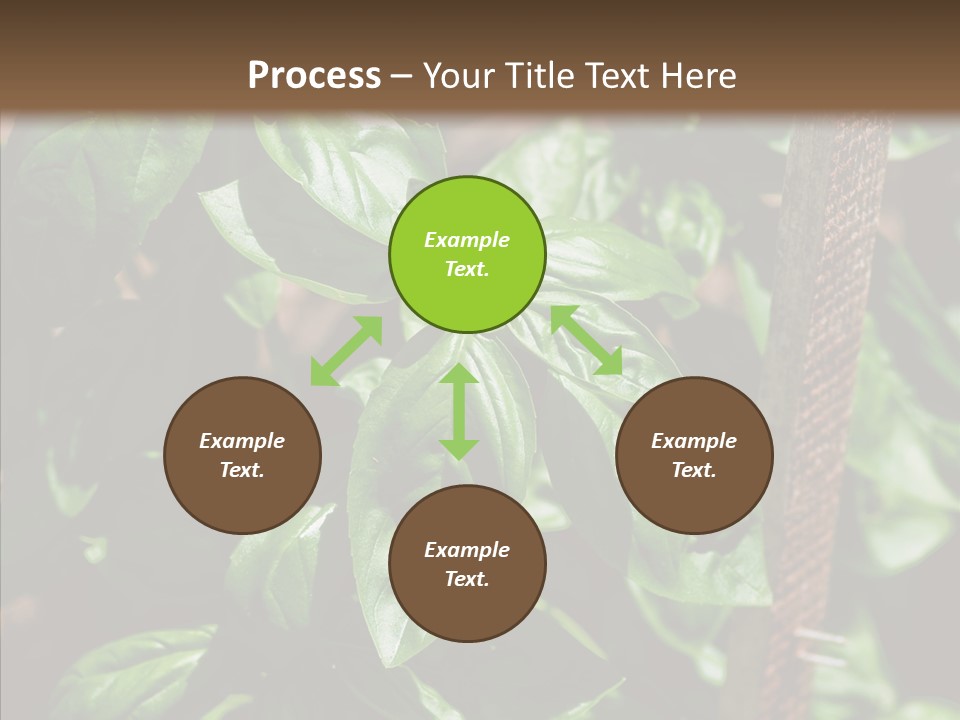 Summer Garden Eat PowerPoint Template