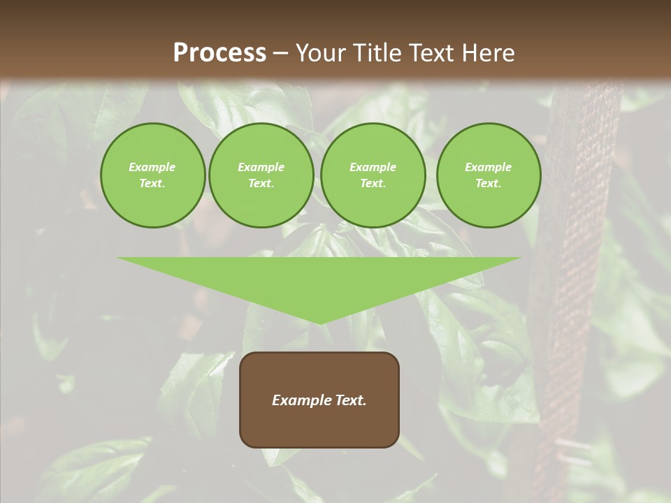 Summer Garden Eat PowerPoint Template