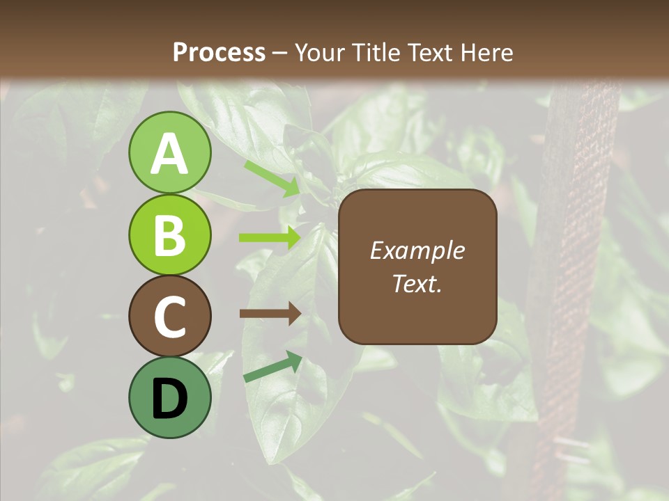 Summer Garden Eat PowerPoint Template