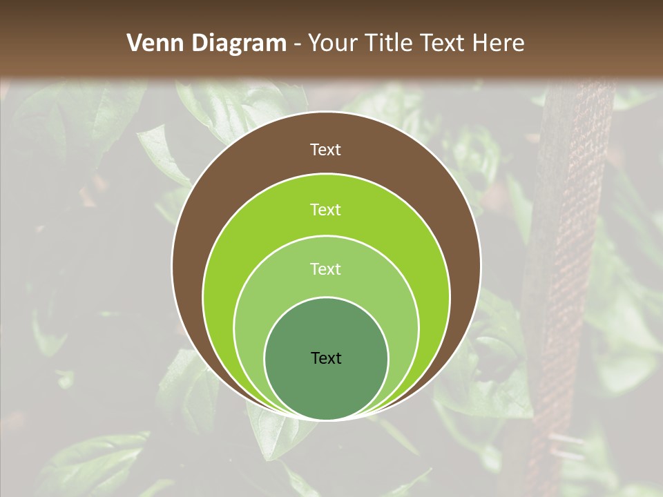 Summer Garden Eat PowerPoint Template