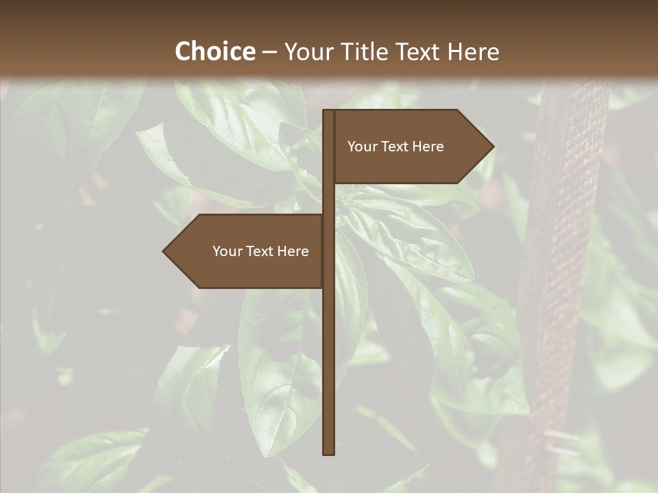 Summer Garden Eat PowerPoint Template