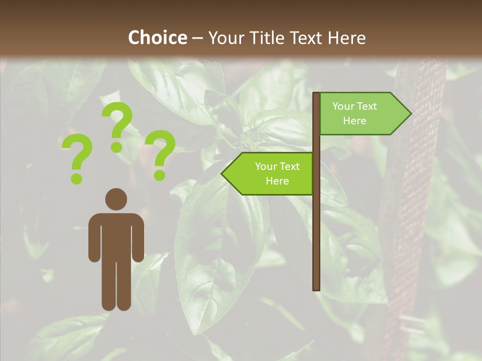 Summer Garden Eat PowerPoint Template