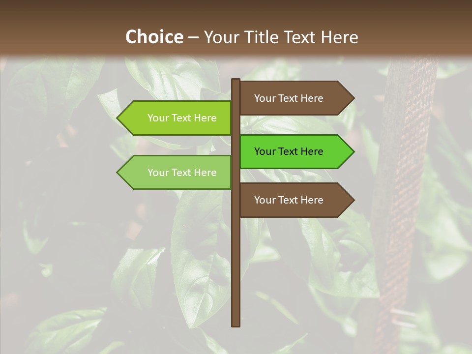 Summer Garden Eat PowerPoint Template