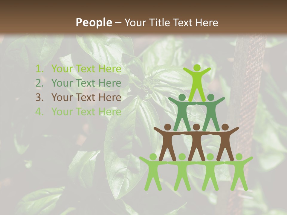 Summer Garden Eat PowerPoint Template