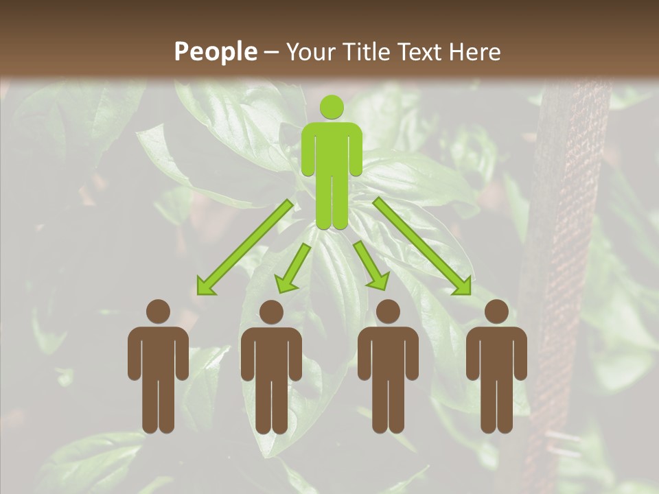 Summer Garden Eat PowerPoint Template