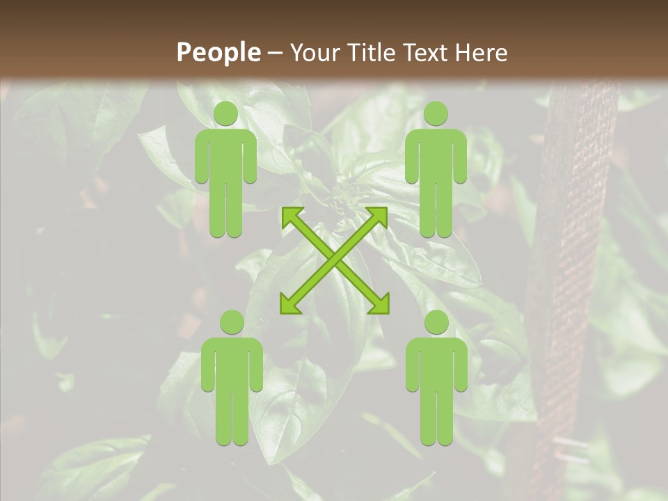 Summer Garden Eat PowerPoint Template