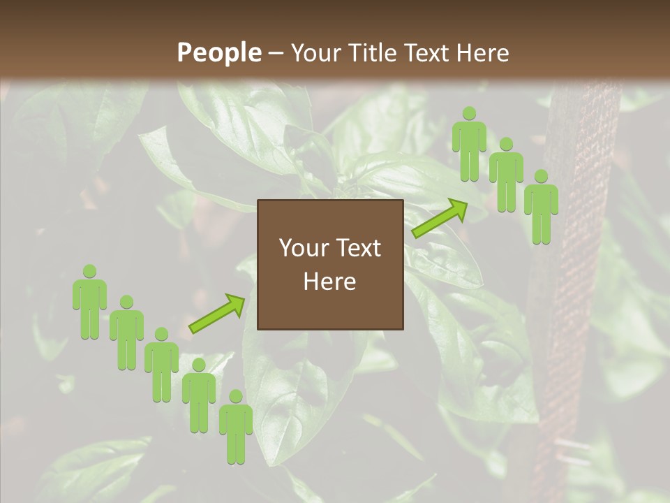 Summer Garden Eat PowerPoint Template