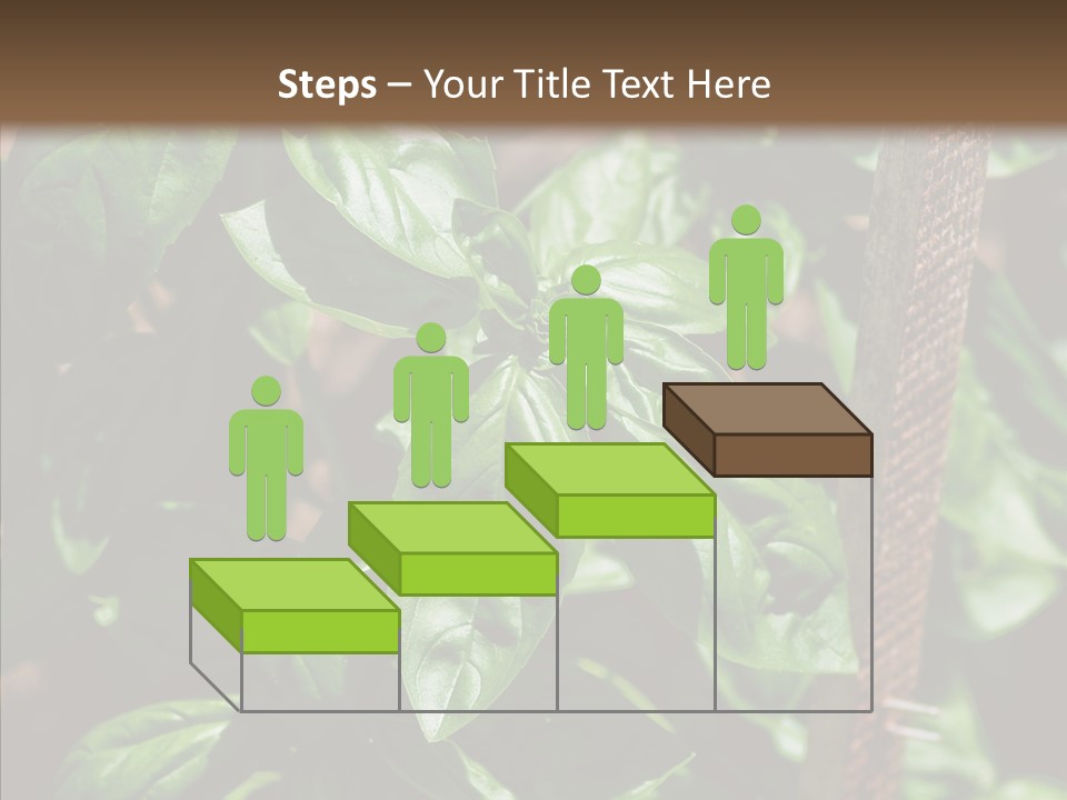 Summer Garden Eat PowerPoint Template