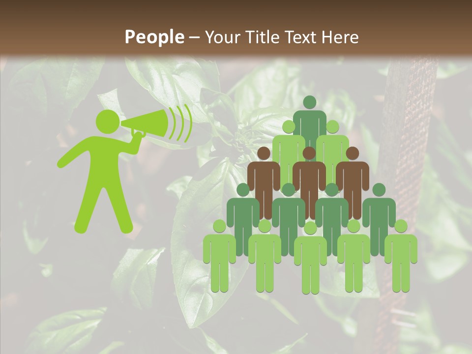 Summer Garden Eat PowerPoint Template