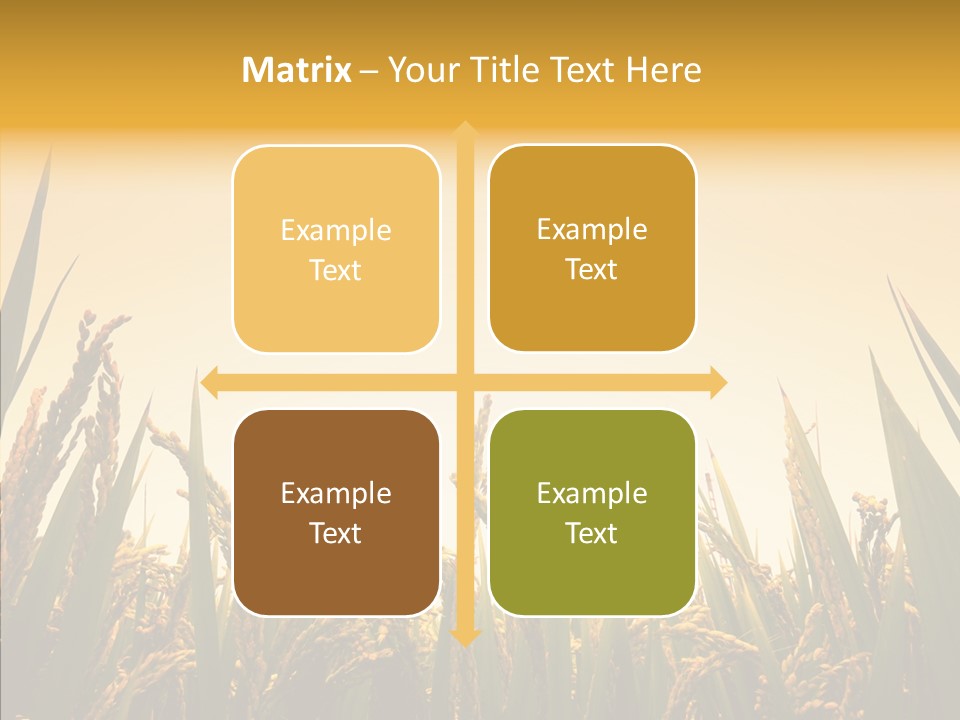 Field Nature Flowers PowerPoint Template