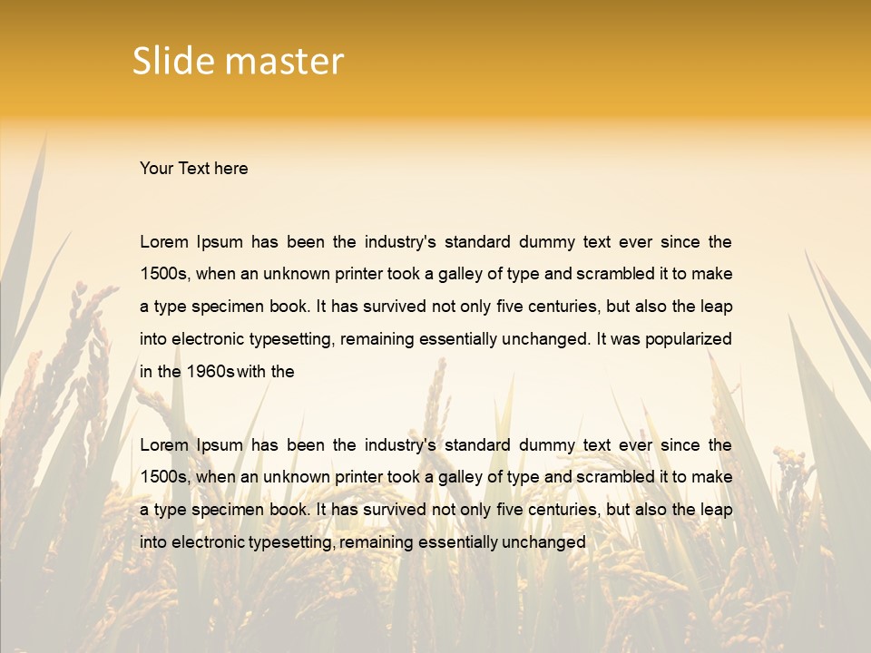 Field Nature Flowers PowerPoint Template