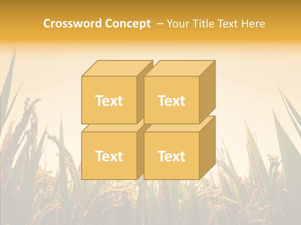 Field Nature Flowers PowerPoint Template