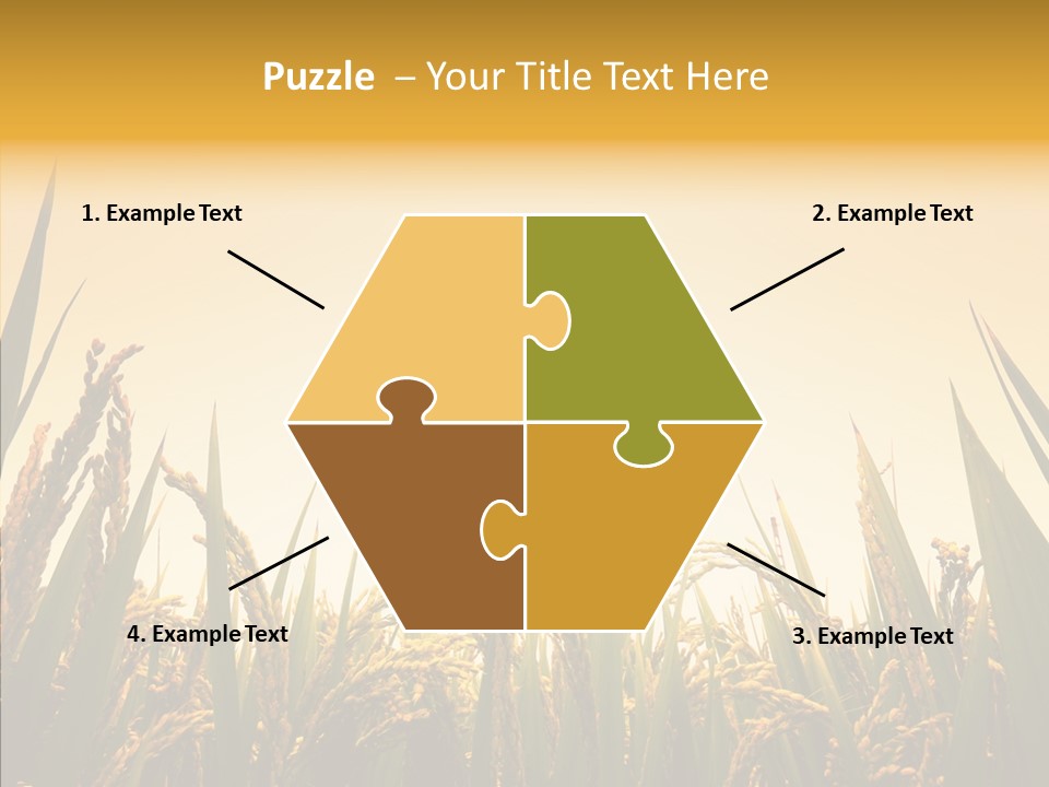 Field Nature Flowers PowerPoint Template