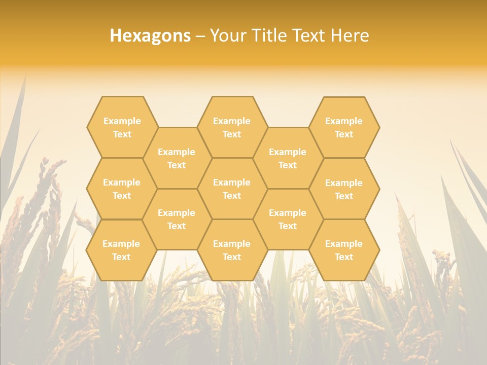 Field Nature Flowers PowerPoint Template