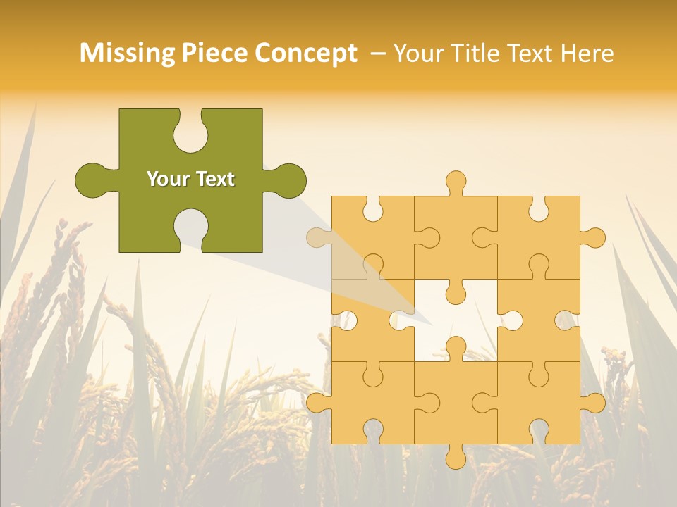 Field Nature Flowers PowerPoint Template