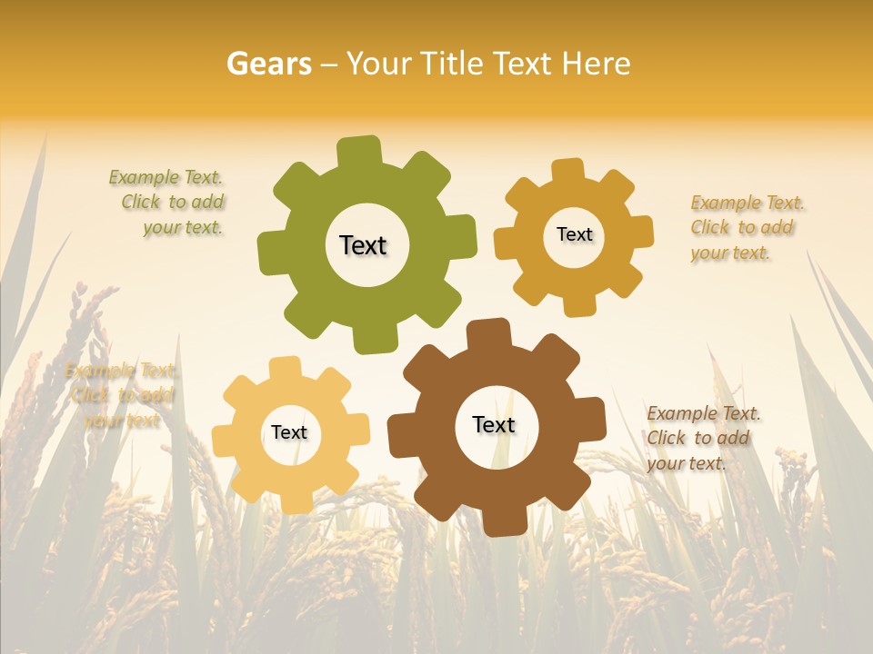 Field Nature Flowers PowerPoint Template