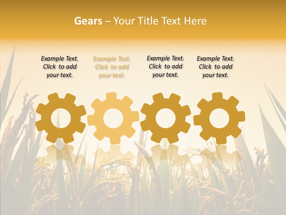 Field Nature Flowers PowerPoint Template