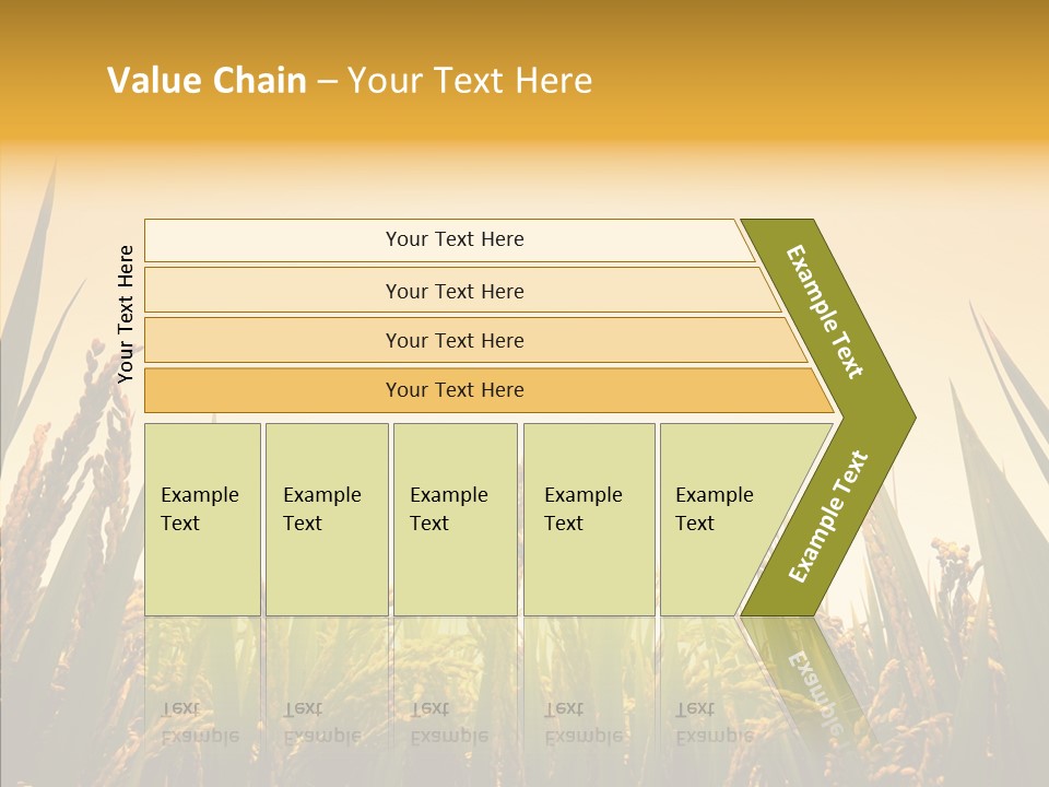 Field Nature Flowers PowerPoint Template