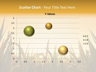 Field Nature Flowers PowerPoint Template