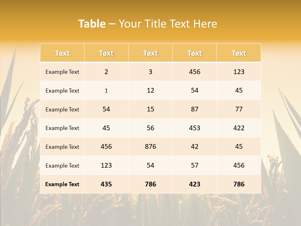 Field Nature Flowers PowerPoint Template