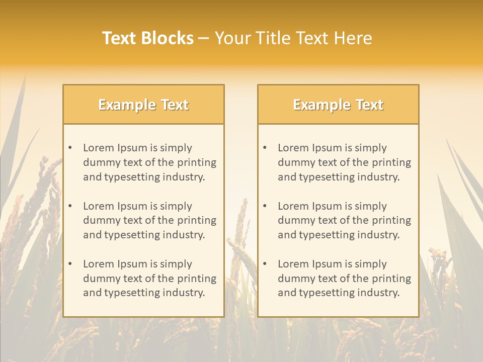Field Nature Flowers PowerPoint Template