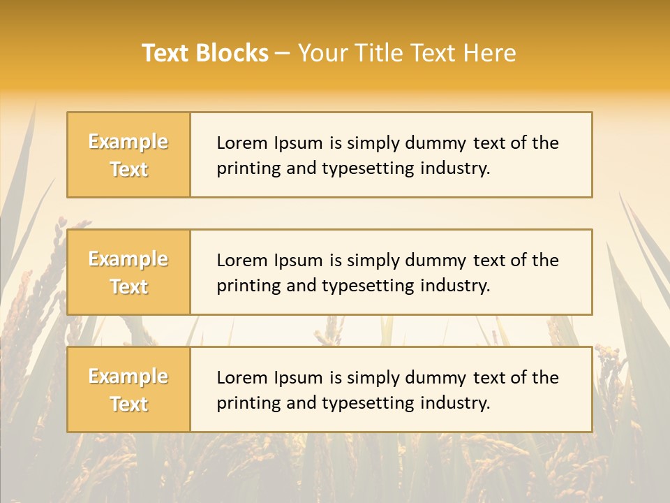 Field Nature Flowers PowerPoint Template