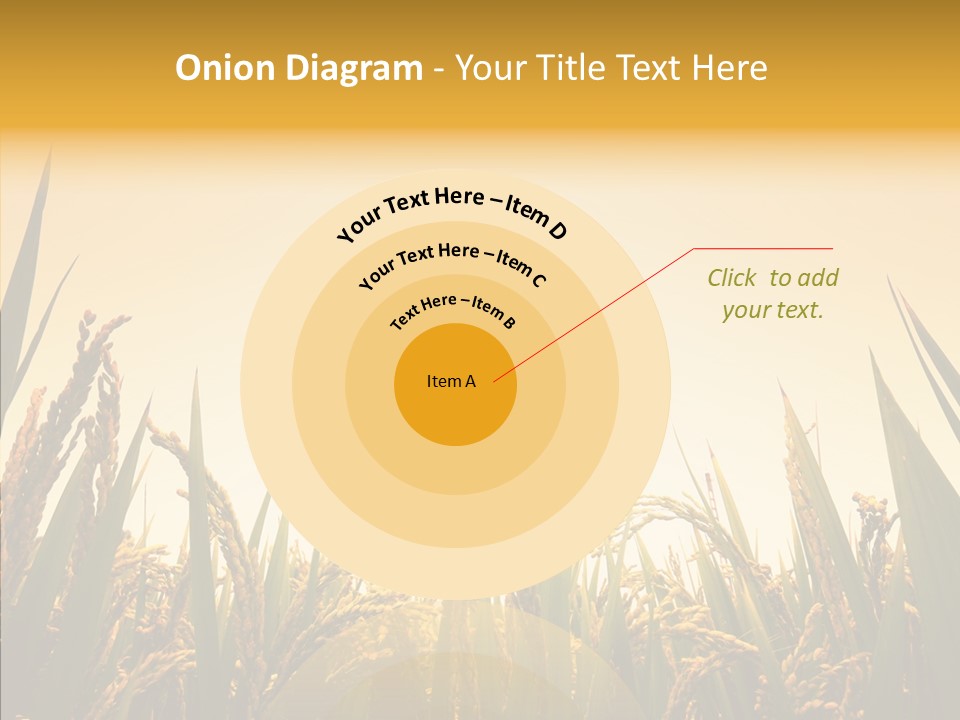 Field Nature Flowers PowerPoint Template