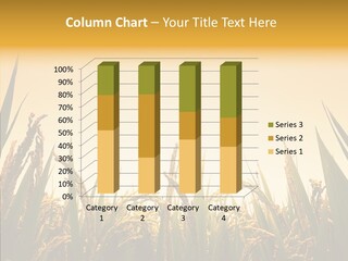 Field Nature Flowers PowerPoint Template