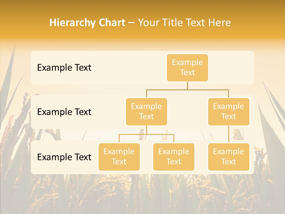Field Nature Flowers PowerPoint Template