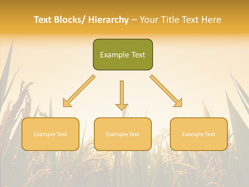 Field Nature Flowers PowerPoint Template