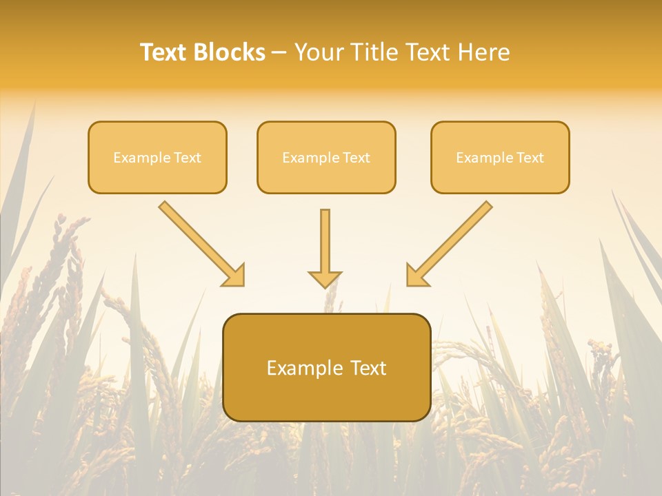 Field Nature Flowers PowerPoint Template
