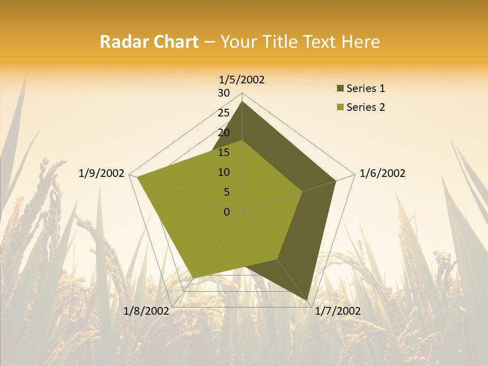 Field Nature Flowers PowerPoint Template