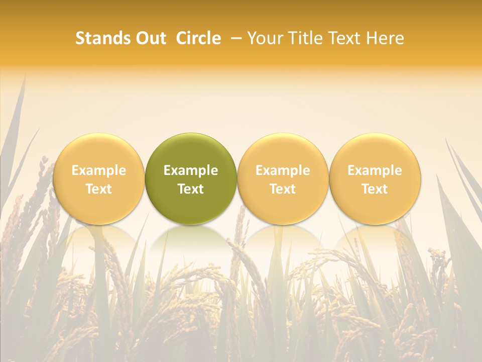 Field Nature Flowers PowerPoint Template