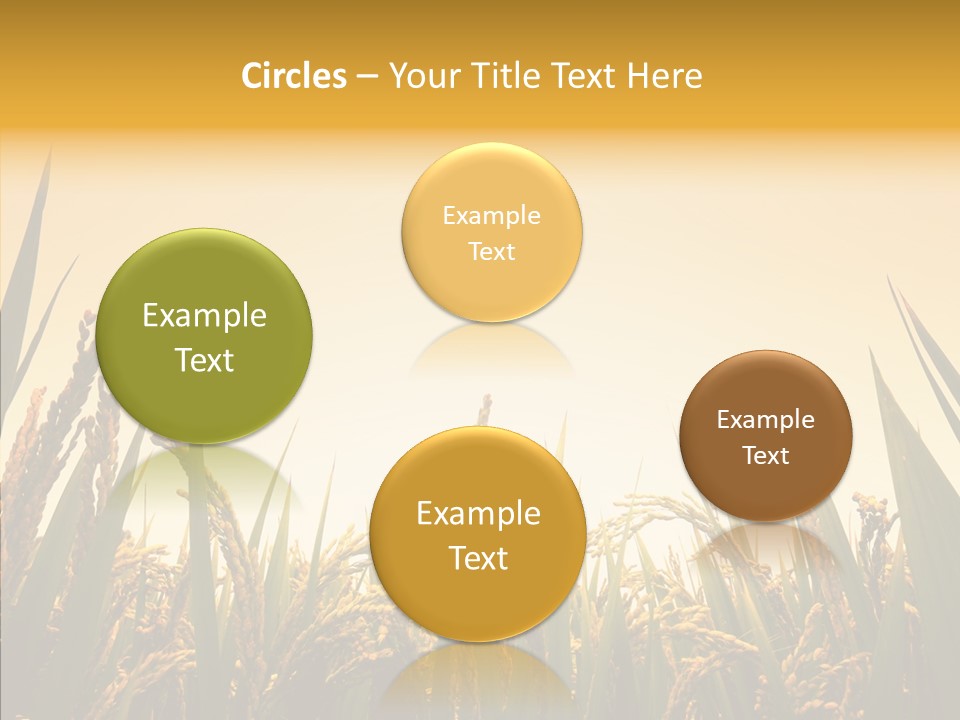 Field Nature Flowers PowerPoint Template