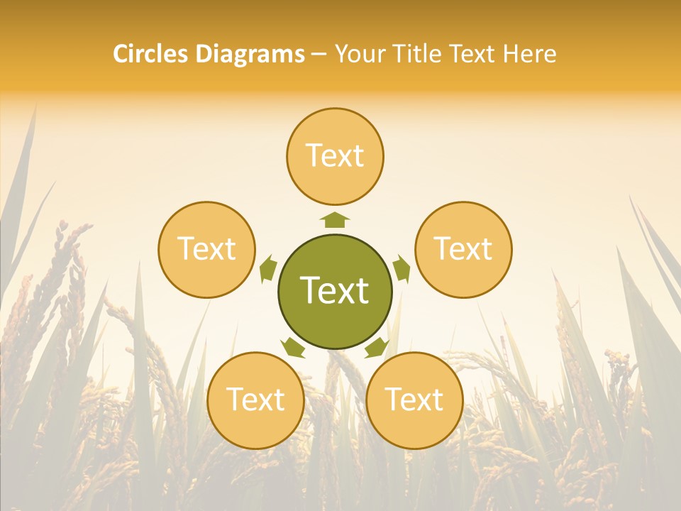 Field Nature Flowers PowerPoint Template