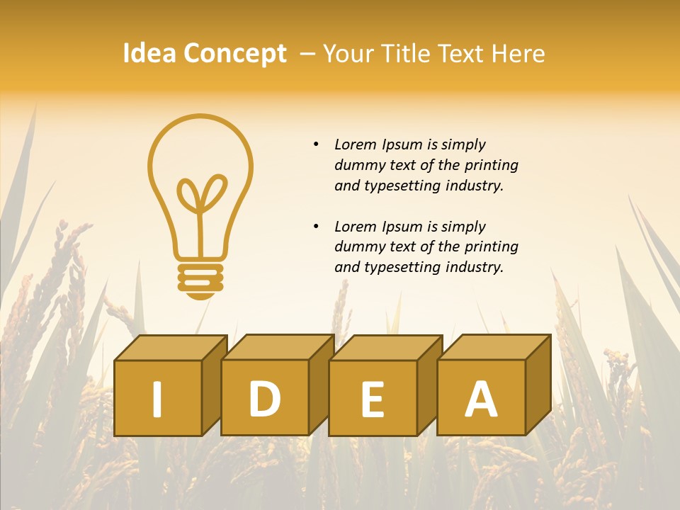 Field Nature Flowers PowerPoint Template