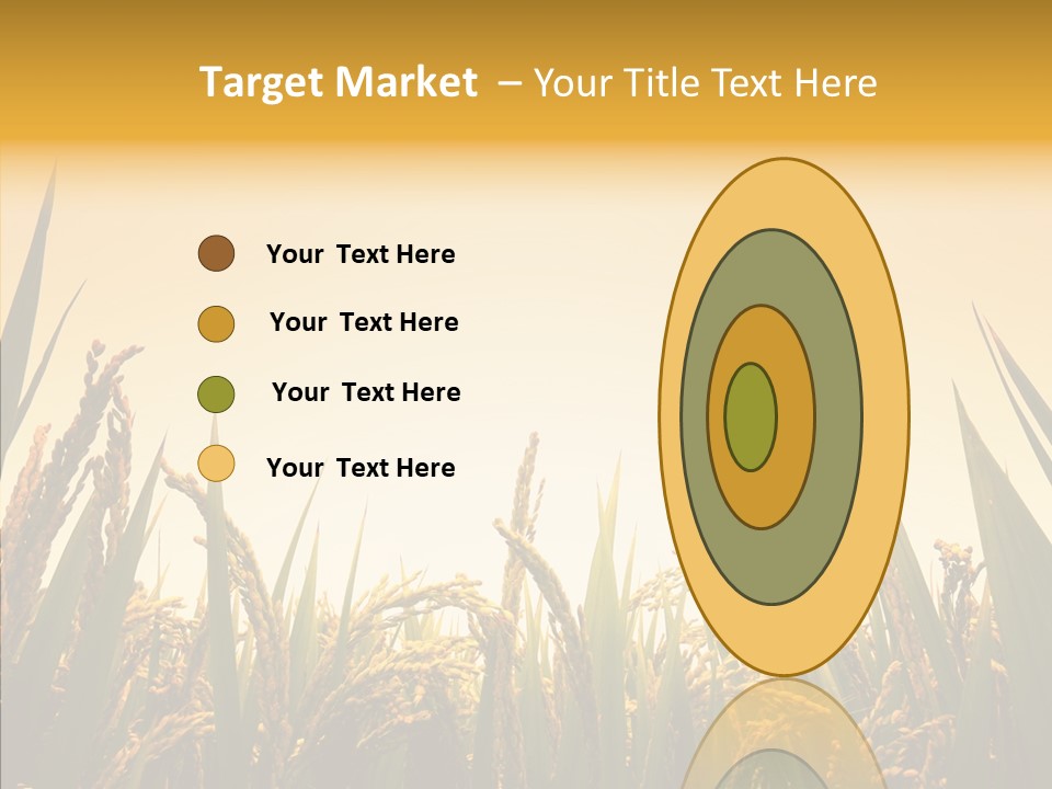 Field Nature Flowers PowerPoint Template