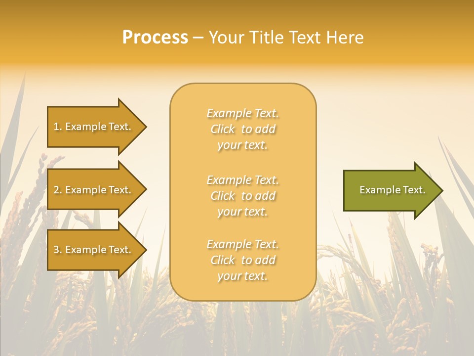Field Nature Flowers PowerPoint Template