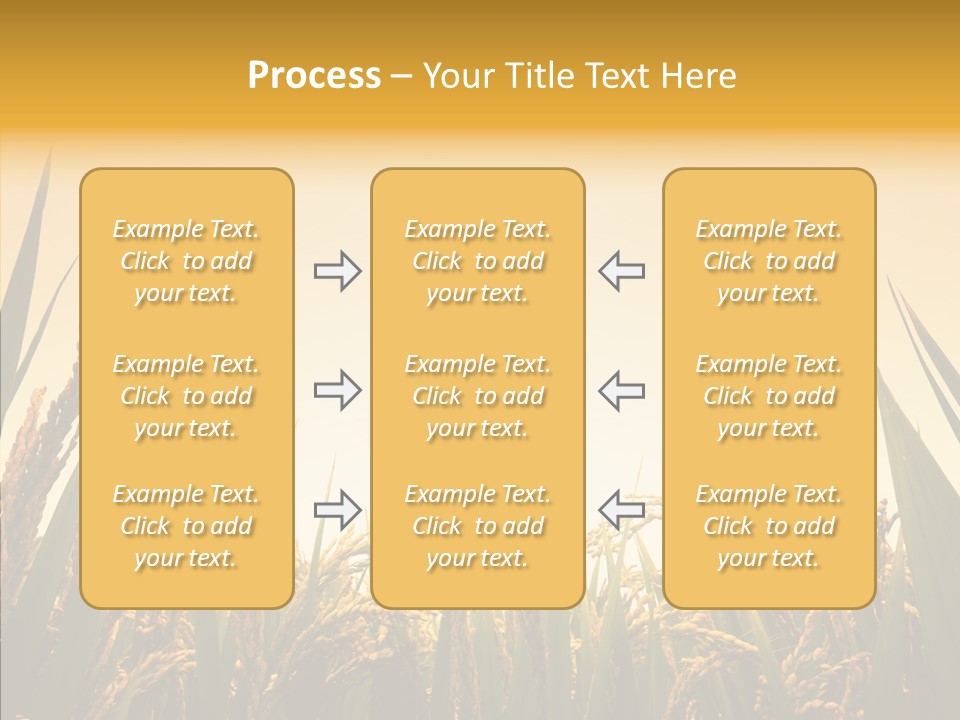 Field Nature Flowers PowerPoint Template