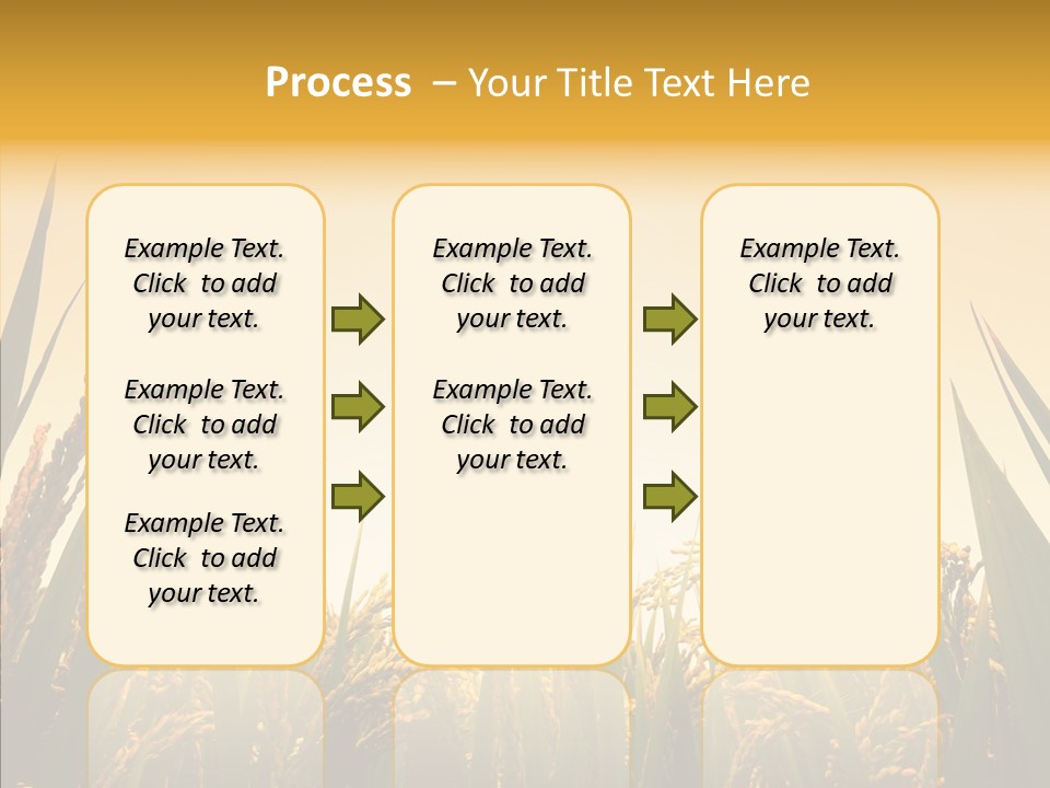 Field Nature Flowers PowerPoint Template