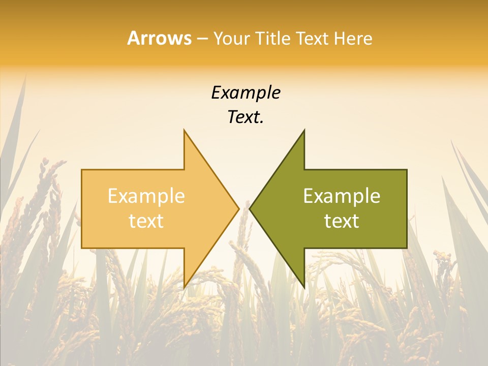 Field Nature Flowers PowerPoint Template
