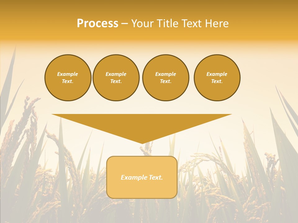 Field Nature Flowers PowerPoint Template