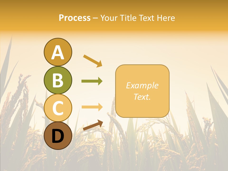 Field Nature Flowers PowerPoint Template