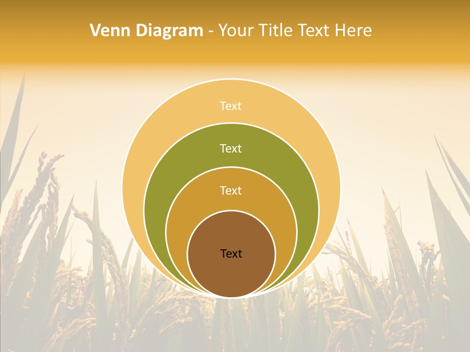 Field Nature Flowers PowerPoint Template